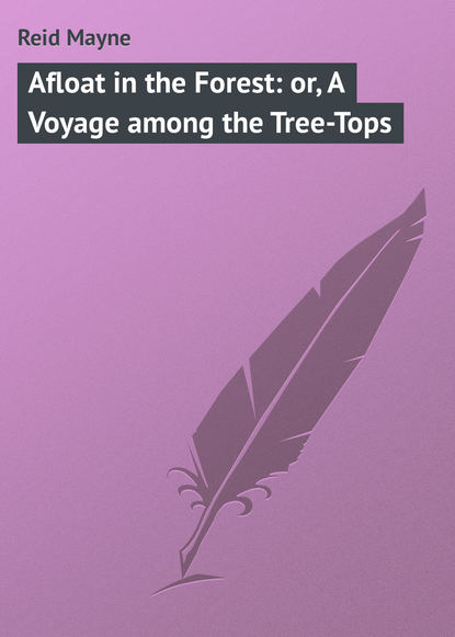 Скачать книгу Afloat in the Forest: or, A Voyage among the Tree-Tops