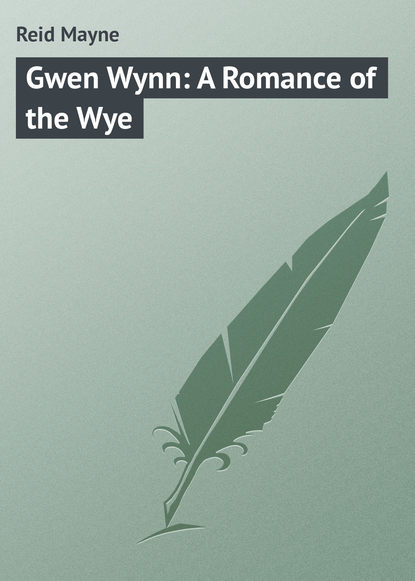 Скачать книгу Gwen Wynn: A Romance of the Wye