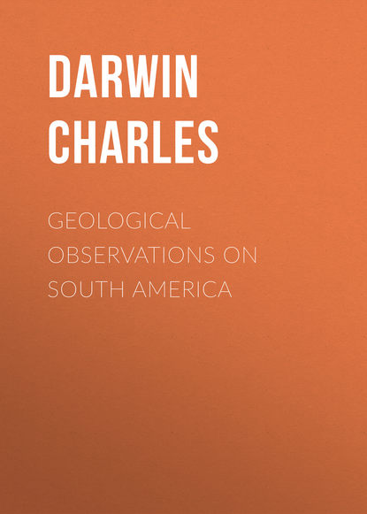 Скачать книгу Geological Observations on South America