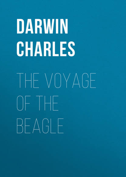 Скачать книгу The Voyage of the Beagle