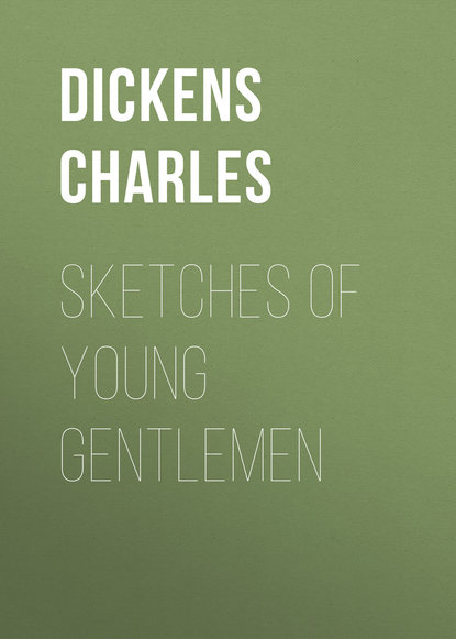 Скачать книгу Sketches of Young Gentlemen