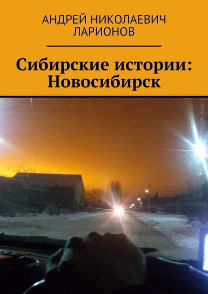 Скачать книгу Сибирские истории: Новосибирск