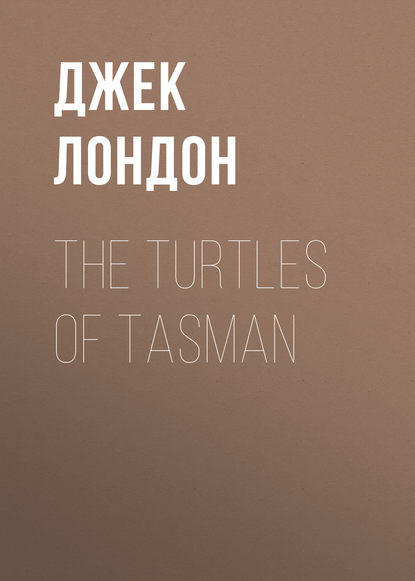 Скачать книгу The Turtles of Tasman