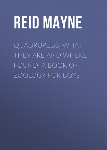 Скачать книгу Quadrupeds, What They Are and Where Found: A Book of Zoology for Boys