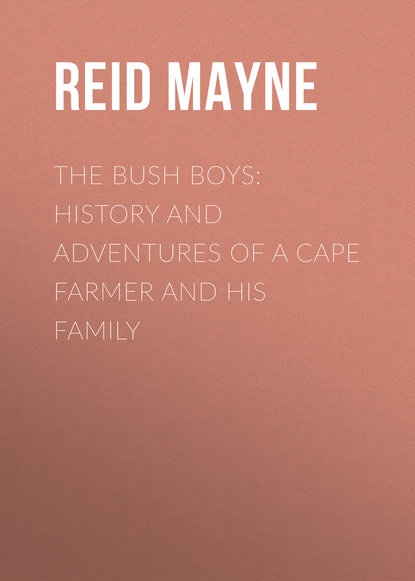 Скачать книгу The Bush Boys: History and Adventures of a Cape Farmer and his Family