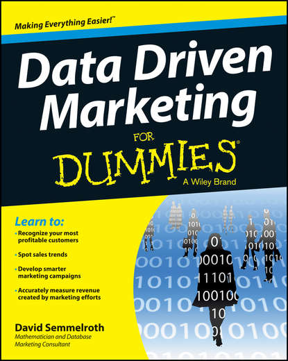 Скачать книгу Data Driven Marketing For Dummies
