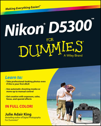 Скачать книгу Nikon D5300 For Dummies
