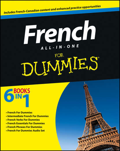 Скачать книгу French All-in-One For Dummies