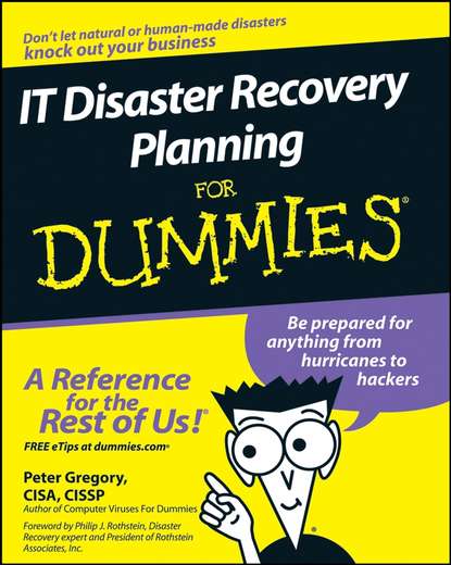 Скачать книгу IT Disaster Recovery Planning For Dummies