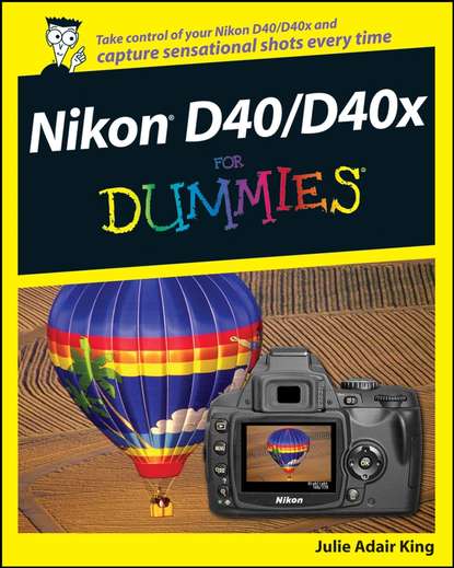 Скачать книгу Nikon D40/D40x For Dummies