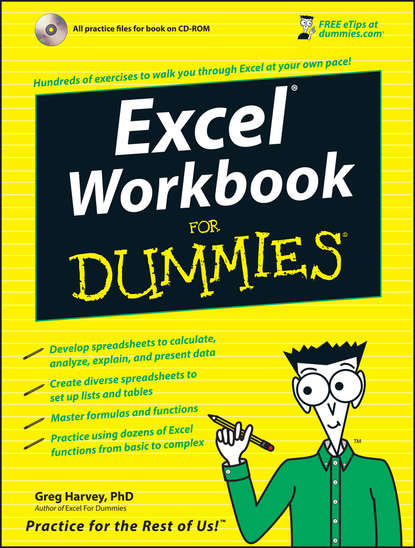 Скачать книгу Excel Workbook For Dummies
