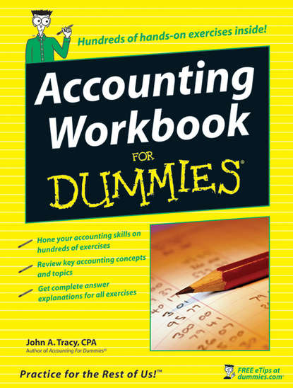 Скачать книгу Accounting Workbook For Dummies