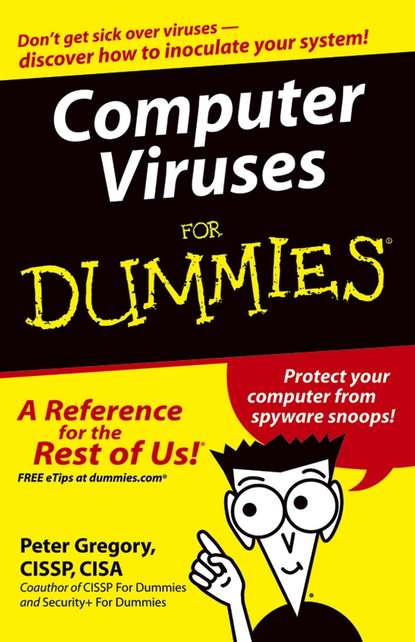 Скачать книгу Computer Viruses For Dummies