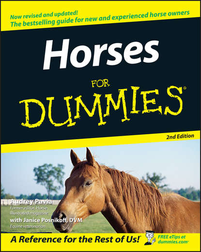 Скачать книгу Horses For Dummies