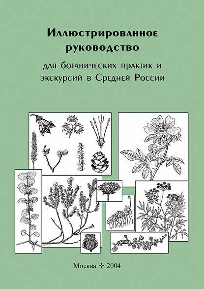 Скачать книгу Иллюстрированное руководство для ботанических практик и экскурсий в Средней России
