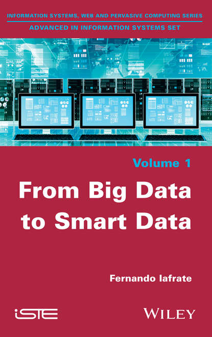 Скачать книгу From Big Data to Smart Data