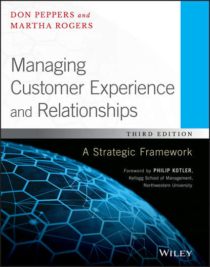 Скачать книгу Managing Customer Experience and Relationships. A Strategic Framework