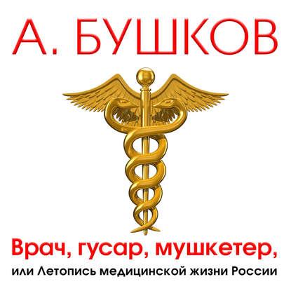 Скачать книгу Врач, гусар, мушкетер, или Летопись медицинской жизни России