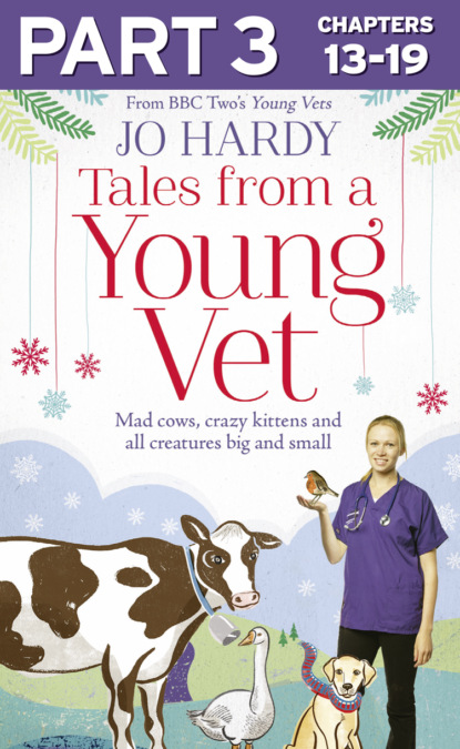 Скачать книгу Tales from a Young Vet: Part 3 of 3: Mad cows, crazy kittens, and all creatures big and small