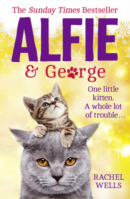 Скачать книгу Alfie and George: A heart-warming tale about how one cat and his kitten brought a street together
