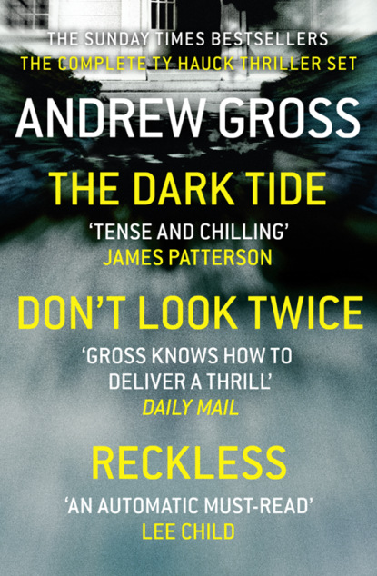 Скачать книгу Andrew Gross 3-Book Thriller Collection 1: The Dark Tide, Don’t Look Twice, Relentless