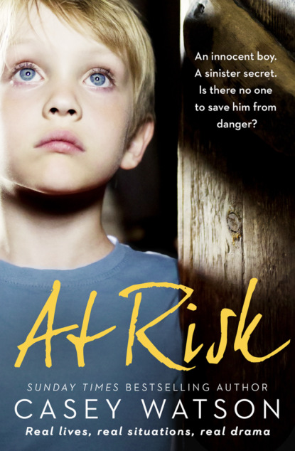 At Risk: An innocent boy. A sinister secret. Is there no one to save him from danger?