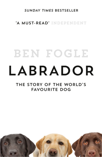 Скачать книгу Labrador: The Story of the World’s Favourite Dog