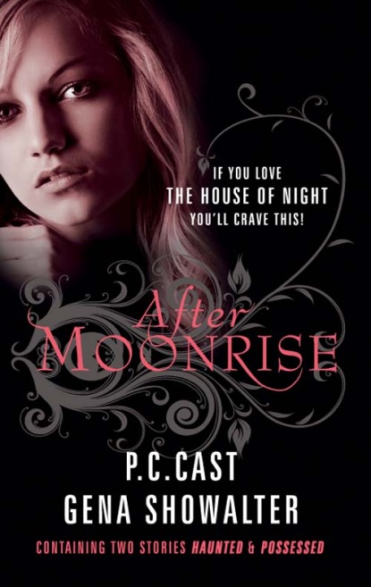 Скачать книгу After Moonrise: Possessed / Haunted