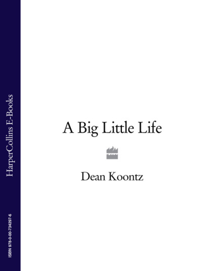 Скачать книгу A Big Little Life