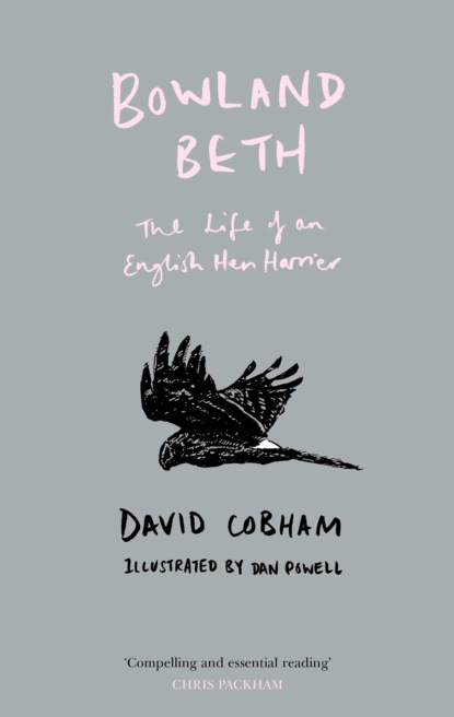 Скачать книгу Bowland Beth: The Life of an English Hen Harrier