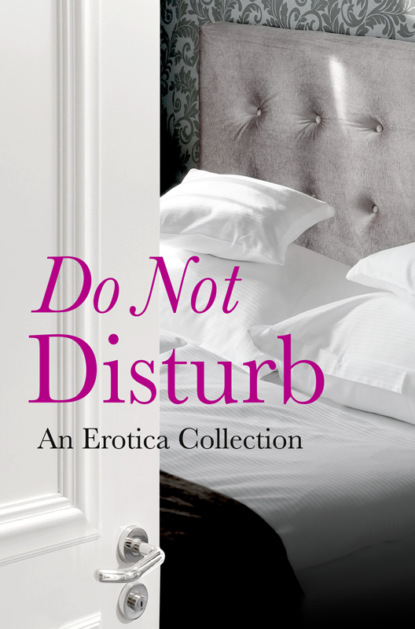 Скачать книгу Do Not Disturb: An Erotica Collection