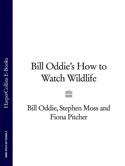 Скачать книгу Bill Oddie’s How to Watch Wildlife