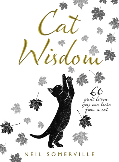 Скачать книгу Cat Wisdom: 60 great lessons you can learn from a cat