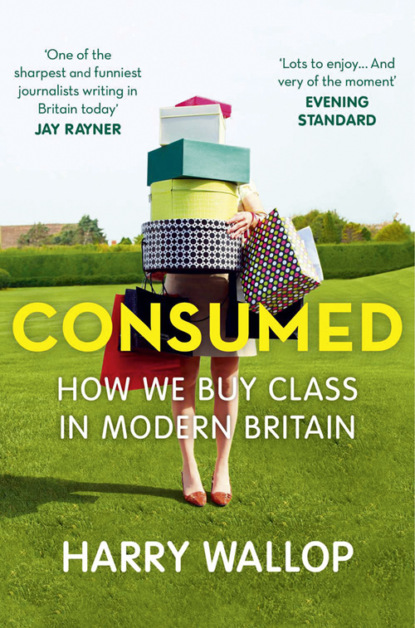 Consumed: How We Buy Class in Modern Britain
