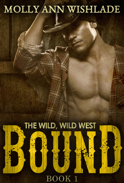 Скачать книгу Bound: A sizzling hot Western romance