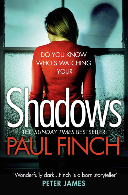 Скачать книгу Shadows: The gripping new crime thriller from the #1 bestseller