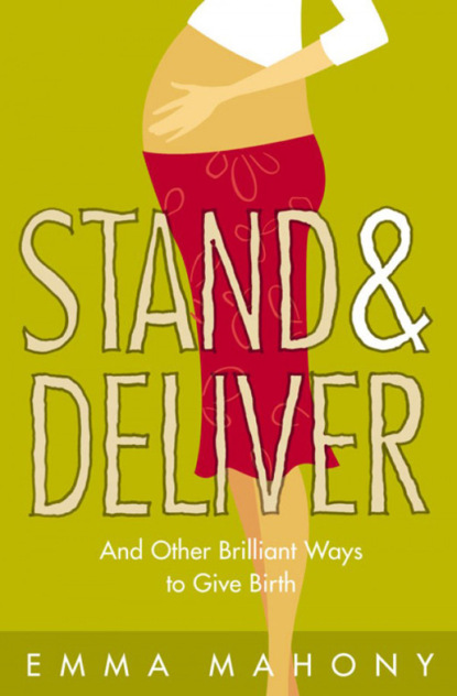 Скачать книгу Stand and Deliver!: And other Brilliant Ways to Give Birth