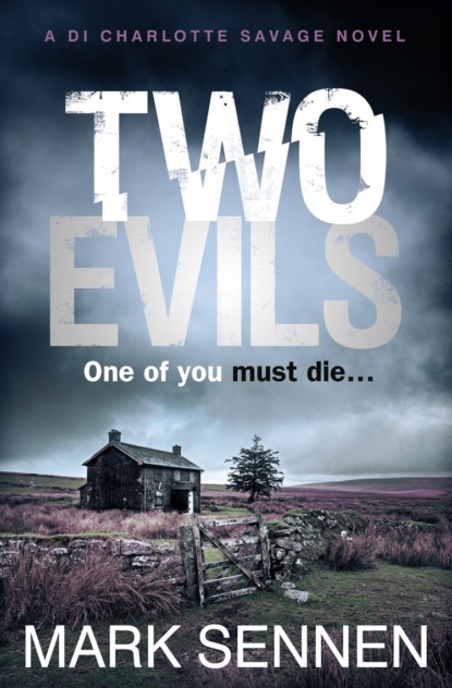 Скачать книгу Two Evils: A DI Charlotte Savage Novel