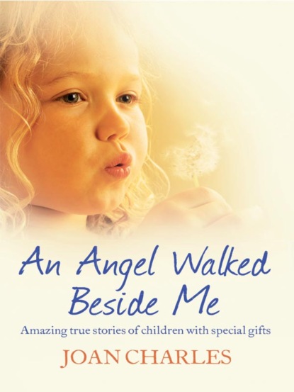 Скачать книгу An Angel Walked Beside Me: Amazing stories of children who touch the other side