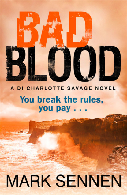 Скачать книгу BAD BLOOD: A DI Charlotte Savage Novel