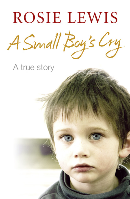 Скачать книгу A Small Boy’s Cry