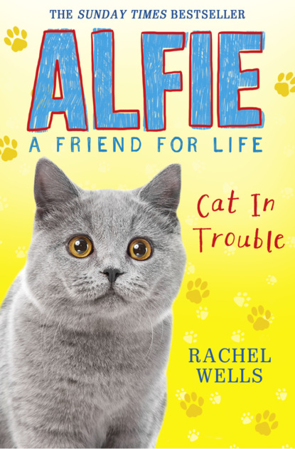 Скачать книгу Alfie Cat In Trouble