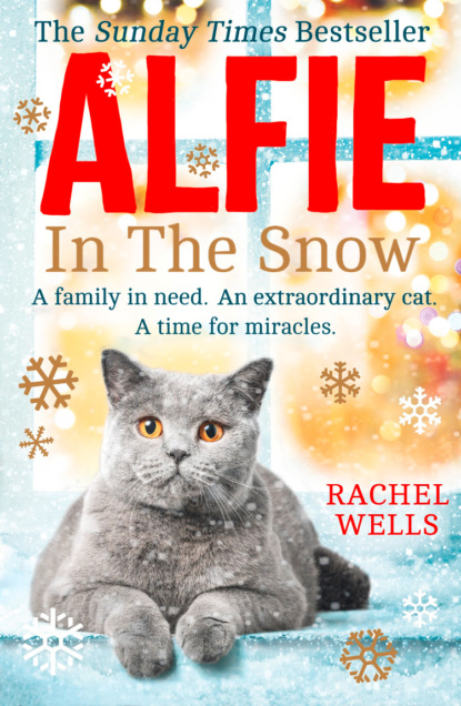 Скачать книгу Alfie in the Snow