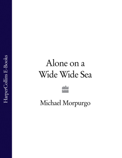 Скачать книгу Alone on a Wide Wide Sea