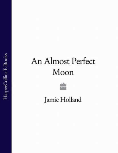 Скачать книгу An Almost Perfect Moon