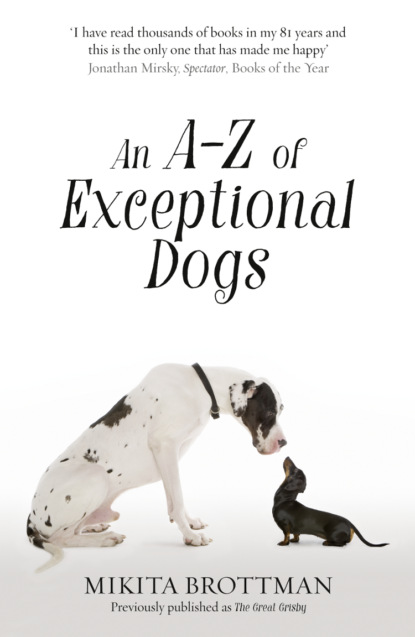 Скачать книгу An A–Z of Exceptional Dogs