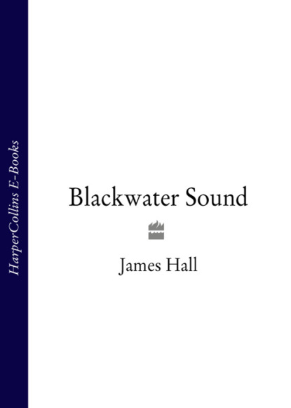 Скачать книгу Blackwater Sound