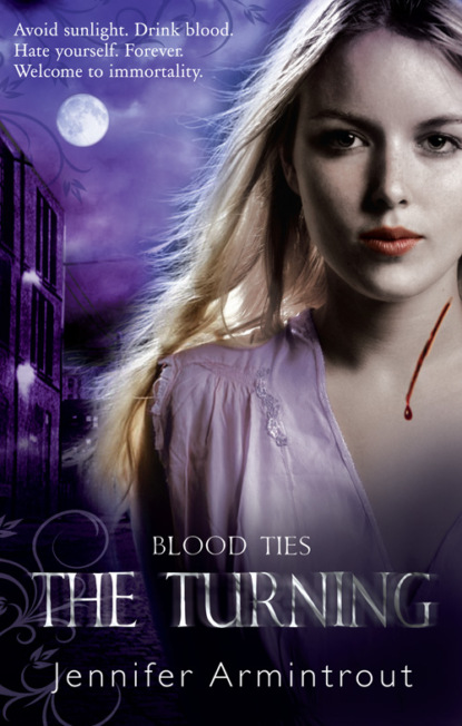 Скачать книгу Blood Ties Book One: The Turning