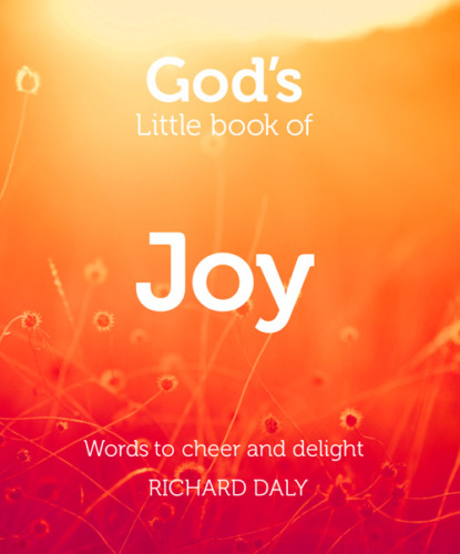 Скачать книгу God’s Little Book of Joy
