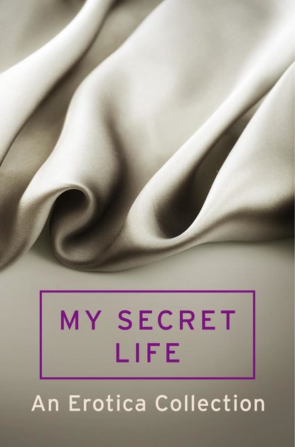 Скачать книгу My Secret Life